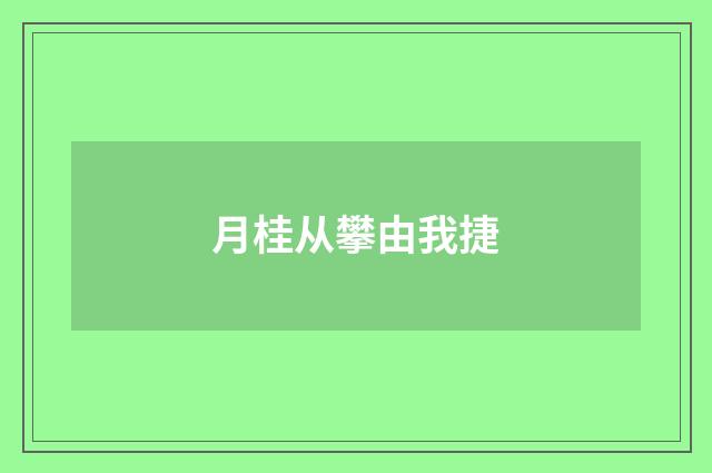 月桂从攀由我捷