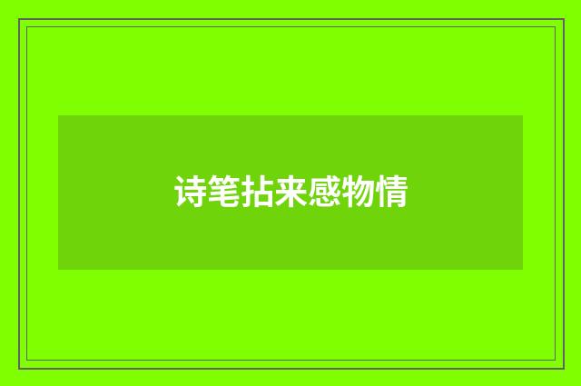 诗笔拈来感物情