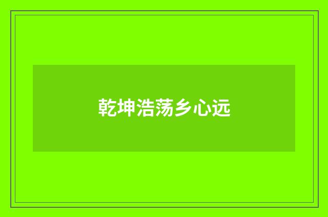 乾坤浩荡乡心远