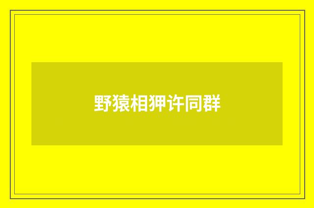 野猿相狎许同群