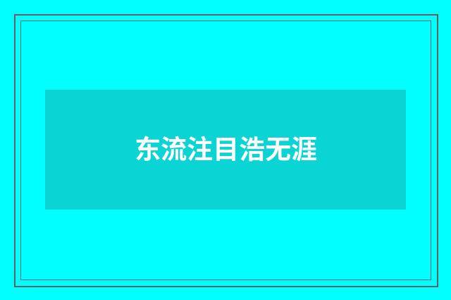 东流注目浩无涯