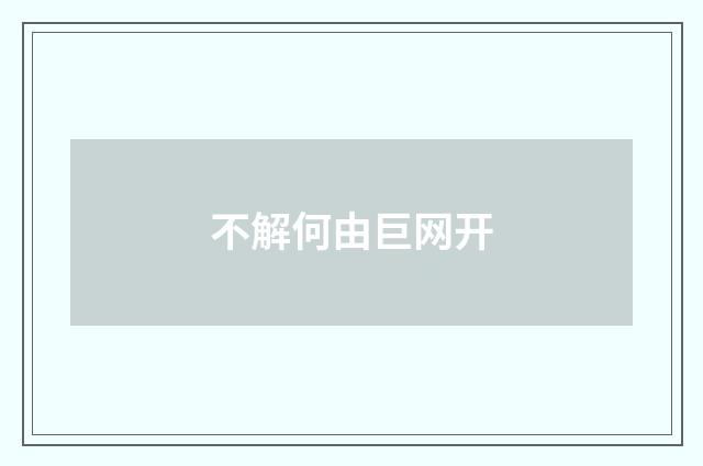 不解何由巨网开