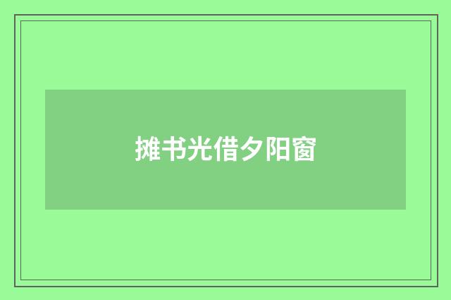 摊书光借夕阳窗