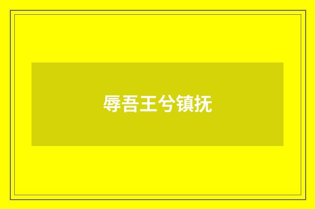 辱吾王兮镇抚