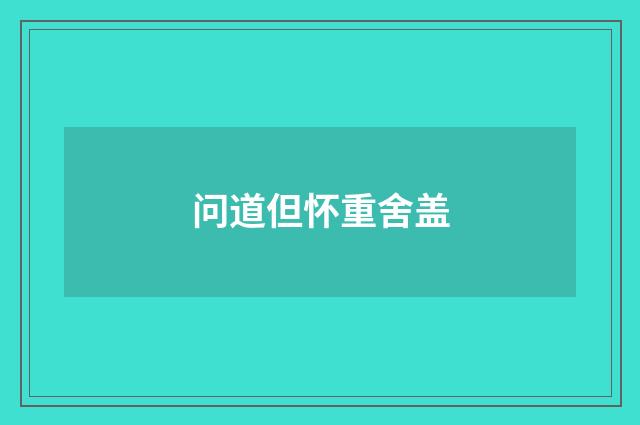 问道但怀重舍盖