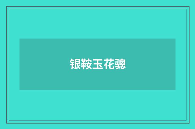 银鞍玉花骢