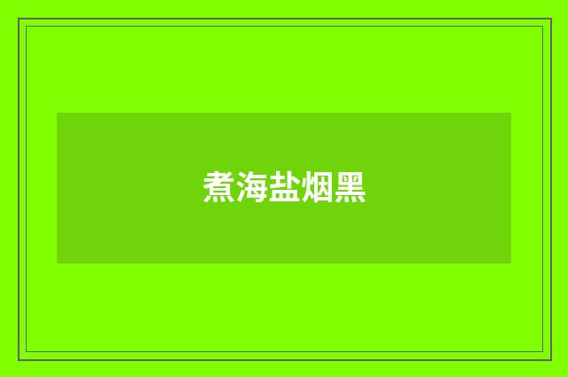 煮海盐烟黑