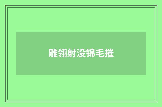 雕翎射没锦毛摧