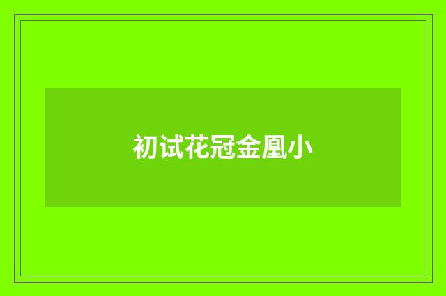 初试花冠金凰小