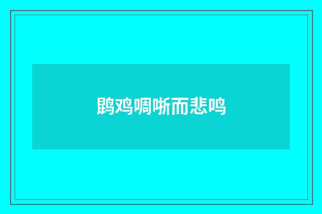 鹍鸡啁哳而悲鸣