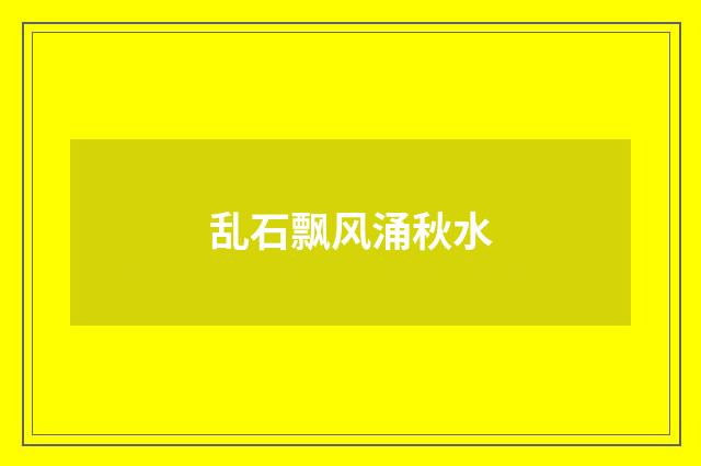乱石飘风涌秋水