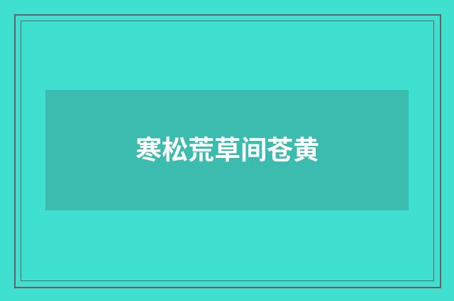 寒松荒草间苍黄