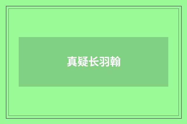 真疑长羽翰