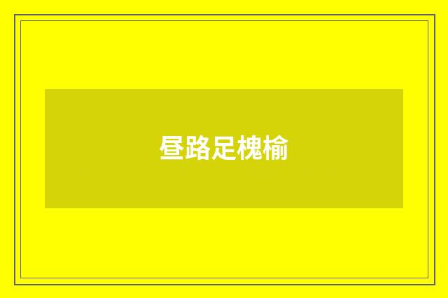 昼路足槐榆
