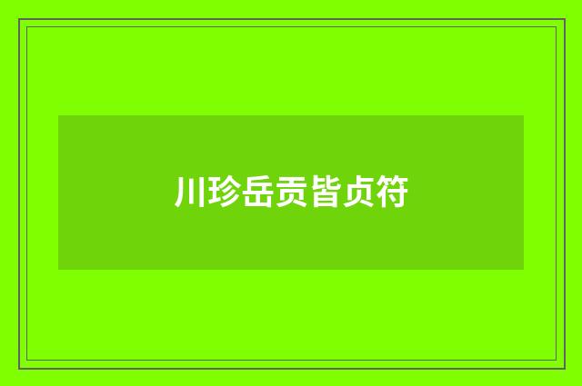 川珍岳贡皆贞符