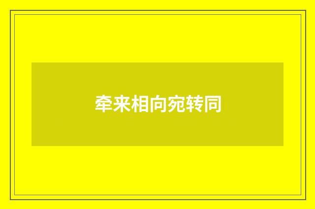 牵来相向宛转同