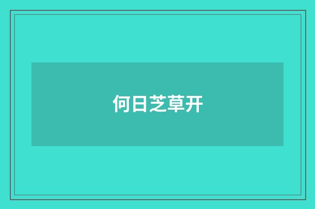 何日芝草开