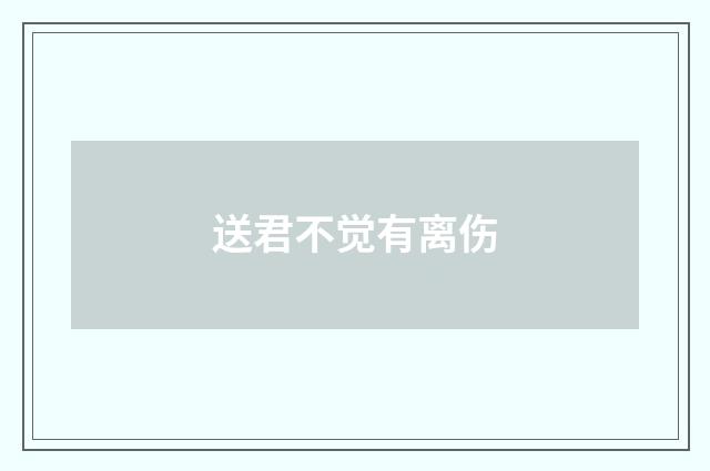 送君不觉有离伤
