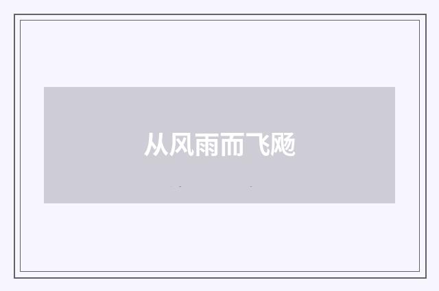 从风雨而飞飏
