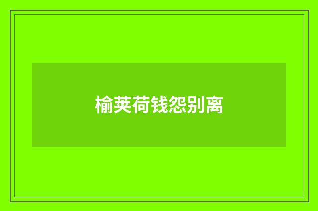 榆荚荷钱怨别离