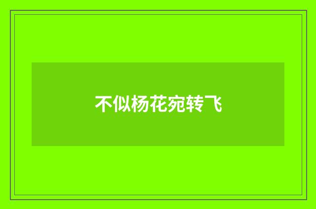 不似杨花宛转飞