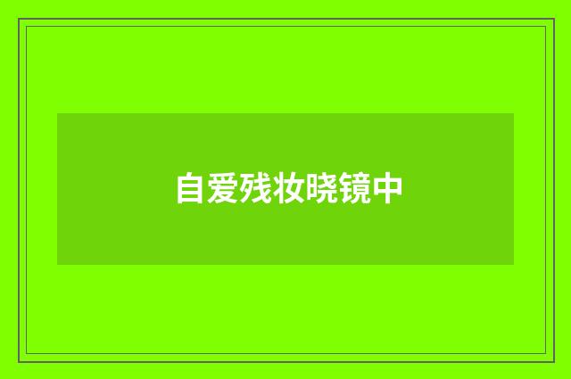自爱残妆晓镜中