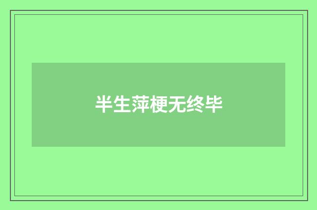 半生萍梗无终毕