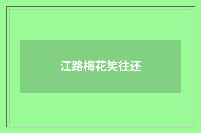 江路梅花笑往还