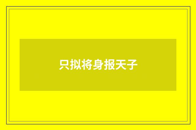 只拟将身报天子