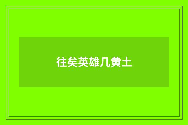 往矣英雄几黄土