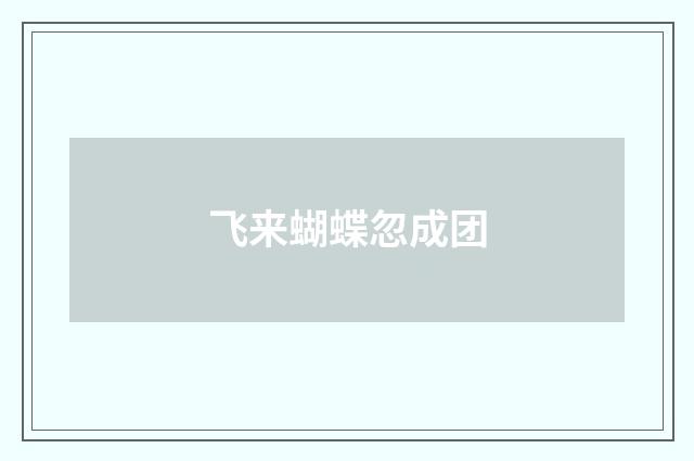 飞来蝴蝶忽成团