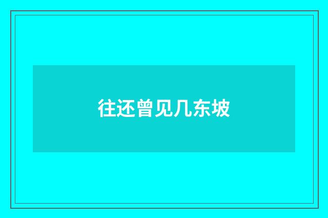 往还曾见几东坡