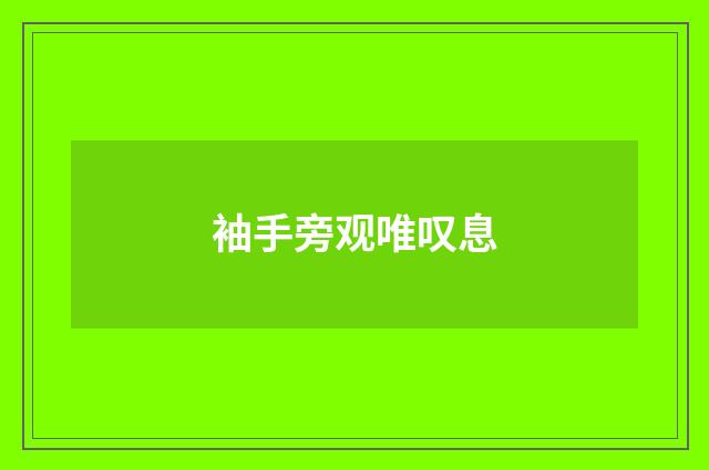 袖手旁观唯叹息