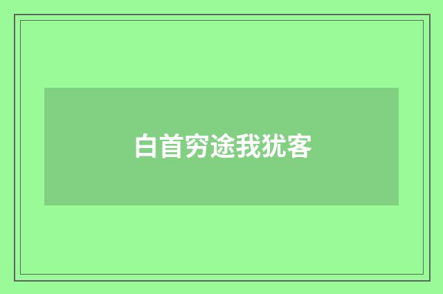 白首穷途我犹客