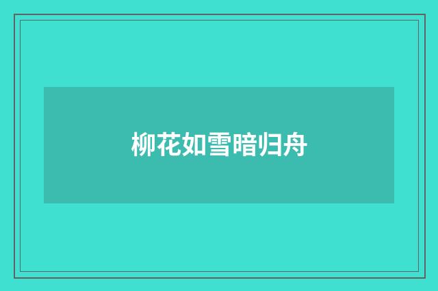 柳花如雪暗归舟