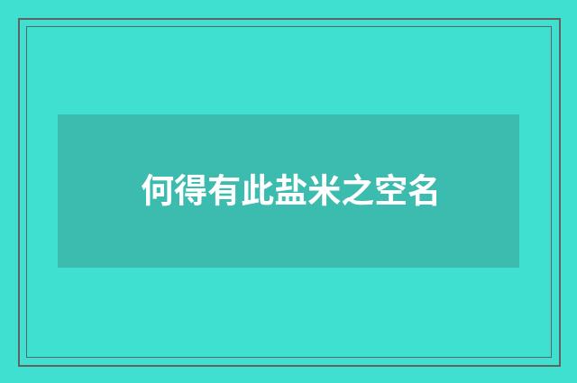 何得有此盐米之空名