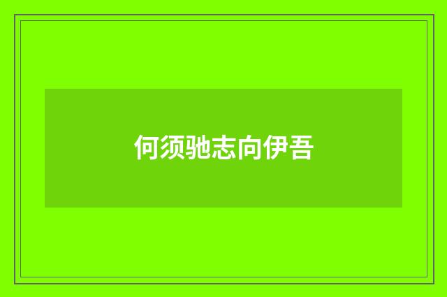 何须驰志向伊吾