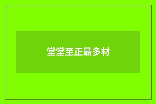 堂堂至正最多材