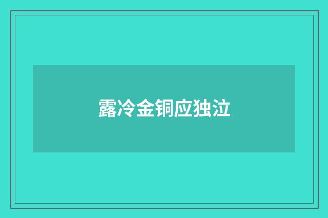 露冷金铜应独泣