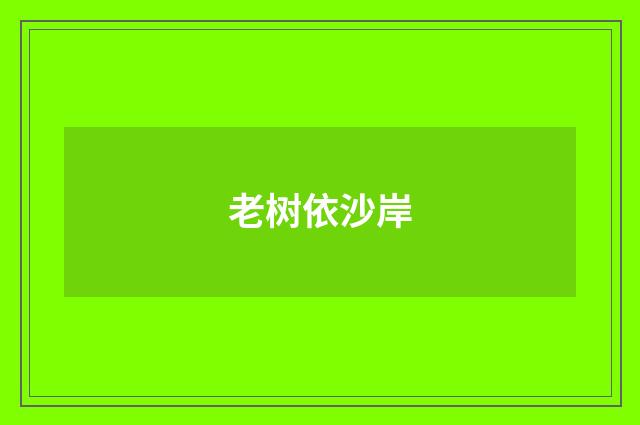 老树依沙岸