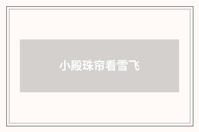 小殿珠帘看雪飞