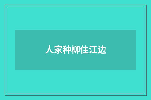 人家种柳住江边
