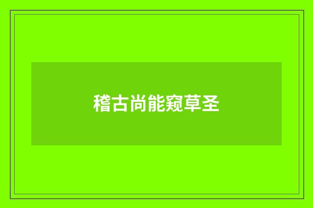 稽古尚能窥草圣