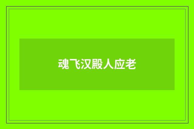 魂飞汉殿人应老