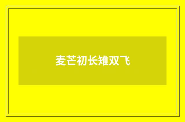 麦芒初长雉双飞