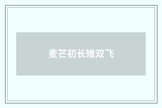 麦芒初长雉双飞