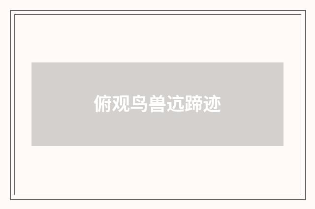 俯观鸟兽迒蹄迹