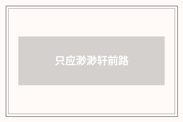 只应渺渺轩前路