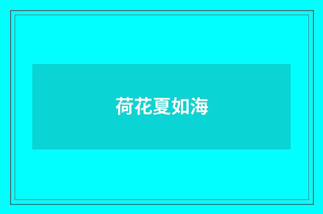 荷花夏如海