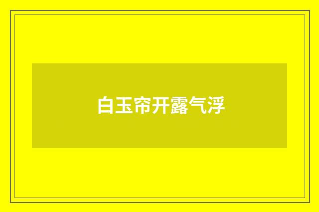 白玉帘开露气浮